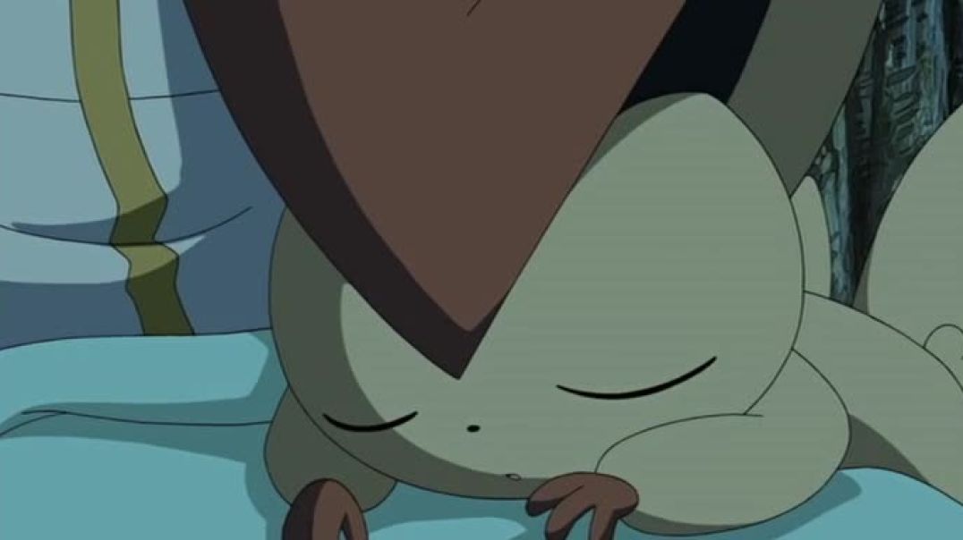 ⁣Pokémon 14a - Black - Victini En Reshiram