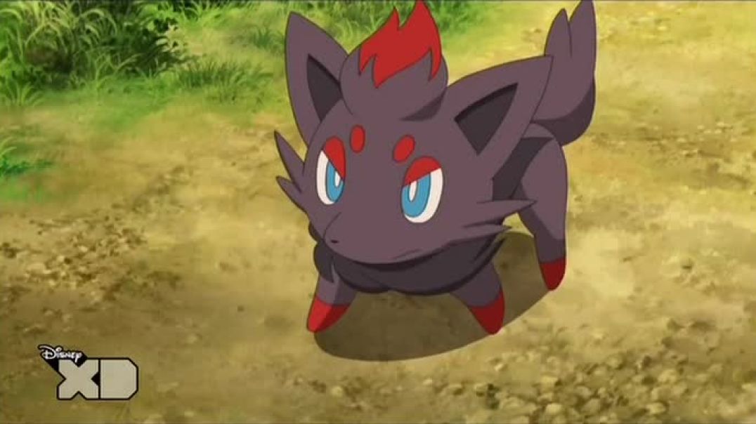 ⁣Pokémon 13 - Zoroark Meester der Illusie