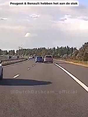 Dutch Dashcam